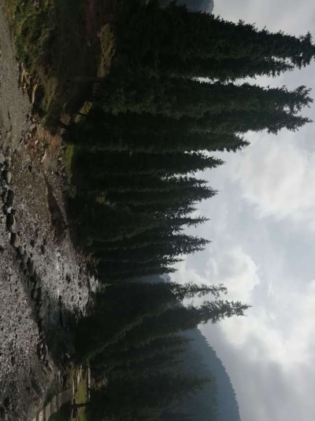 找爬山搭子