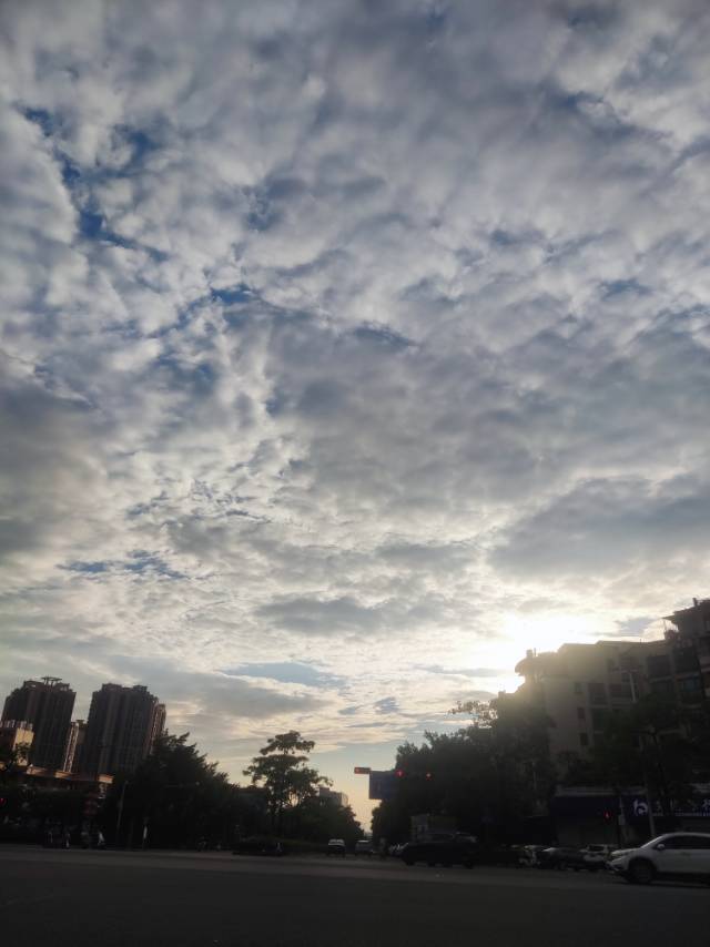 找麻将搭子