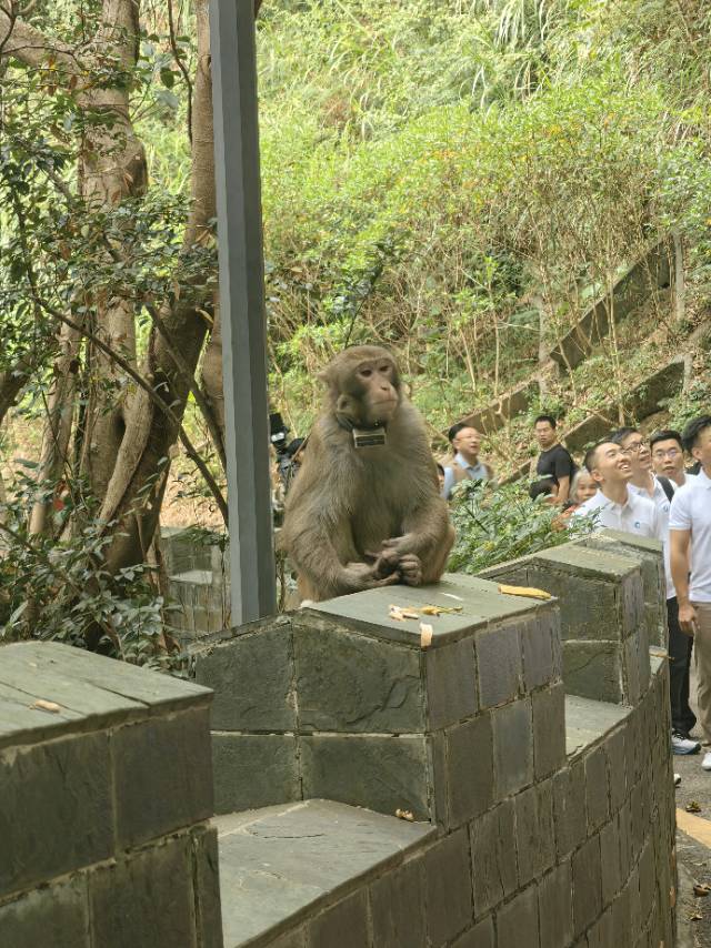找运动搭子