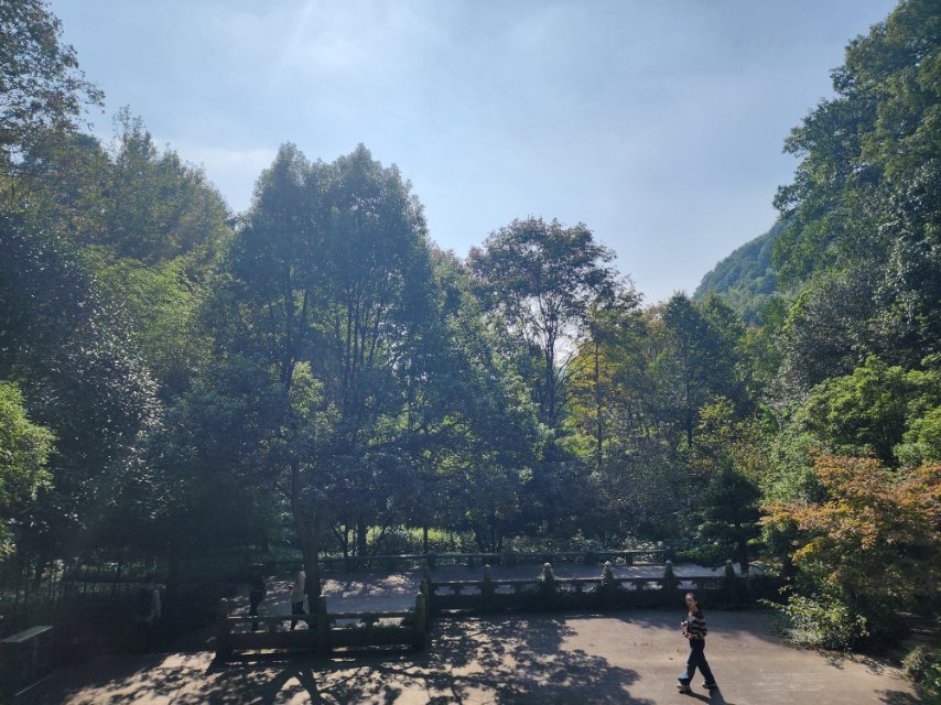 找旅行搭子