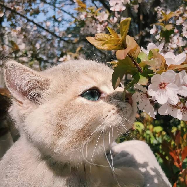 找运动搭子