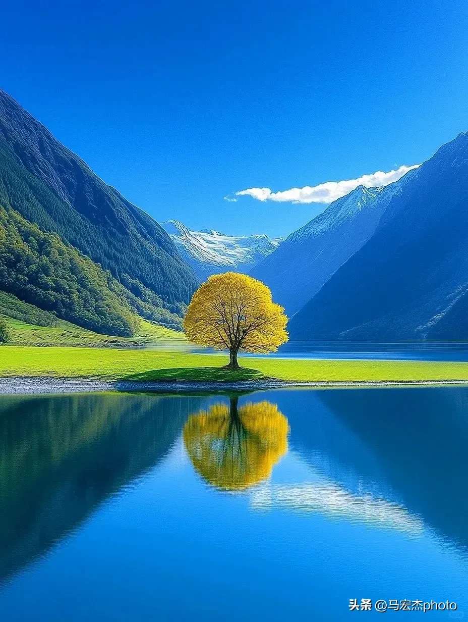 找旅行搭子