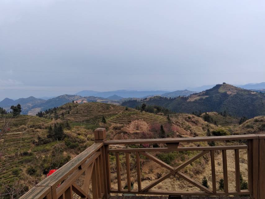 找旅游搭子