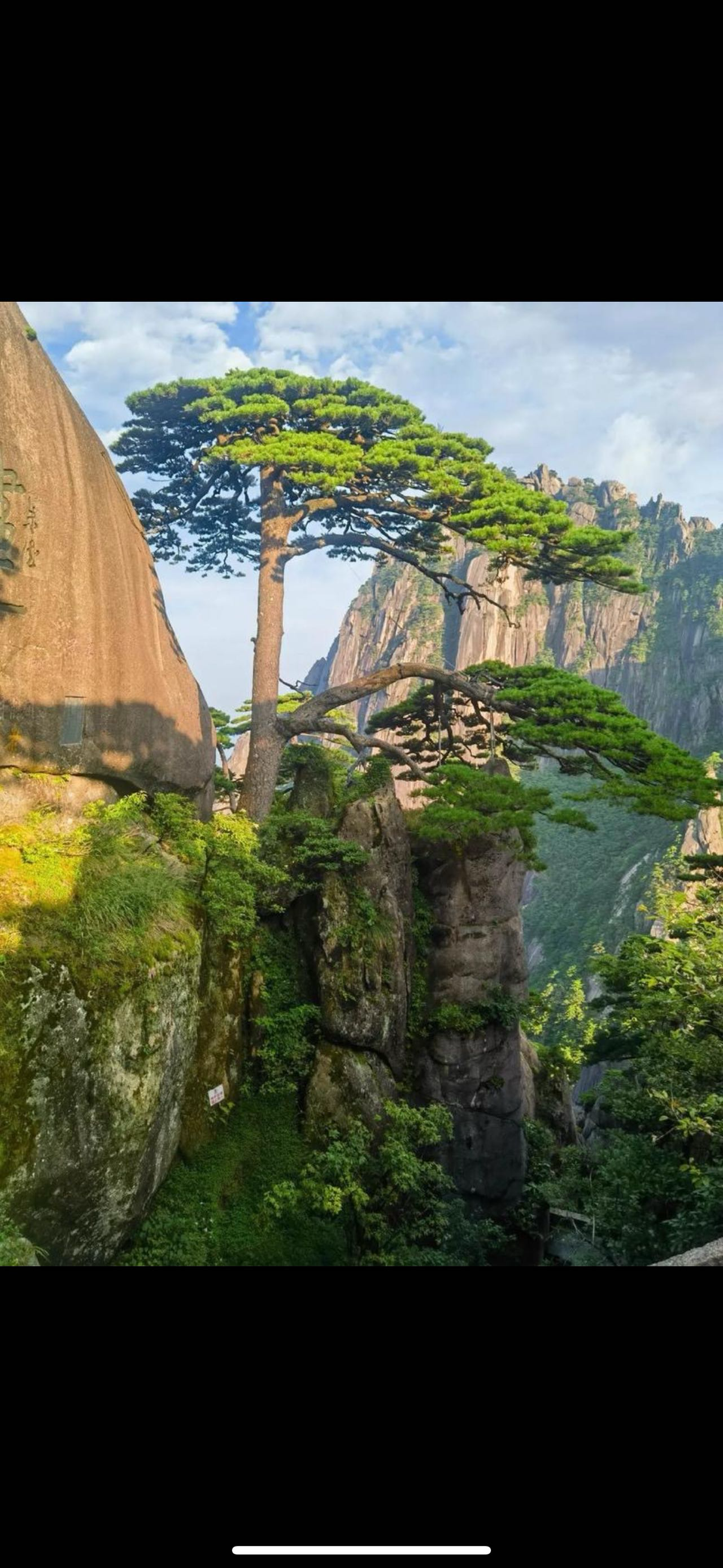 找旅行搭子