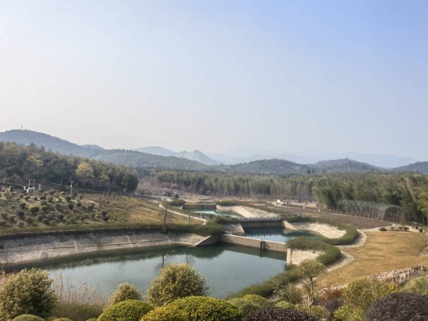 找旅游搭子