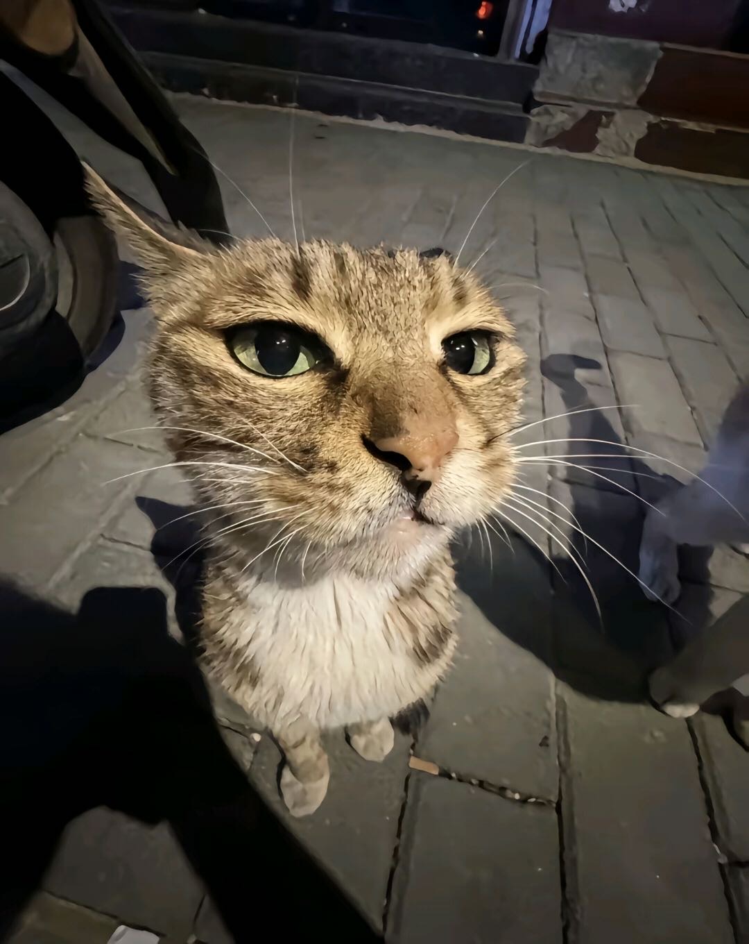 找嘴搭子