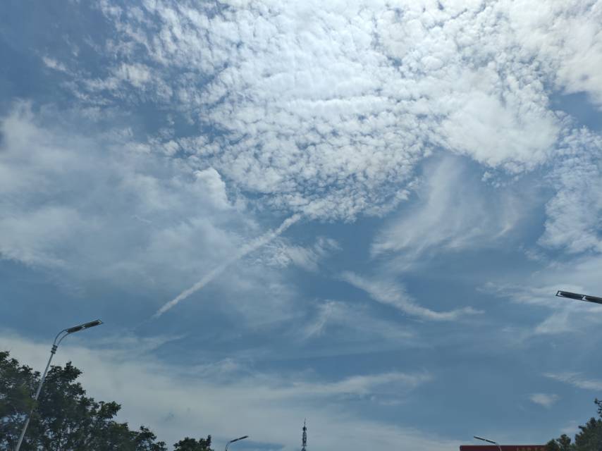 找对象搭子