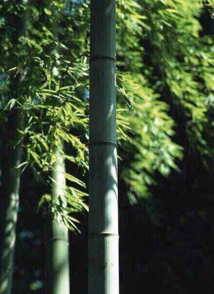 找旅游美食搭子