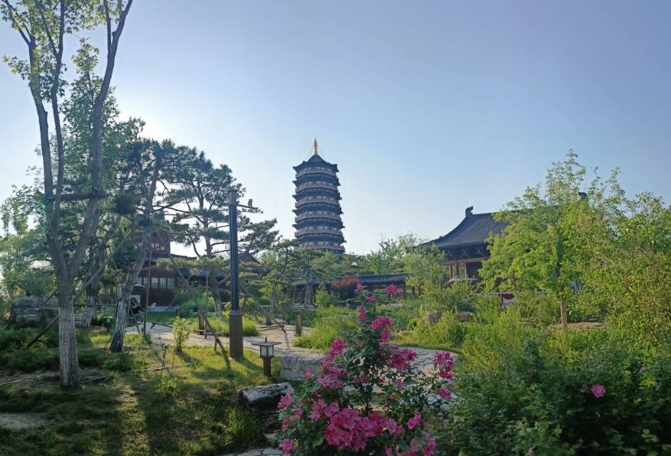 找约会搭子