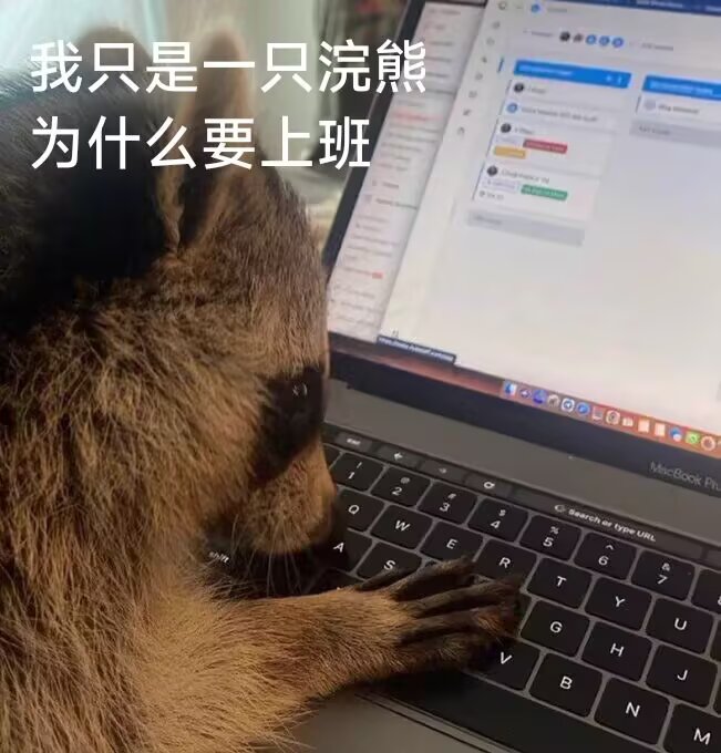 找游戏搭子