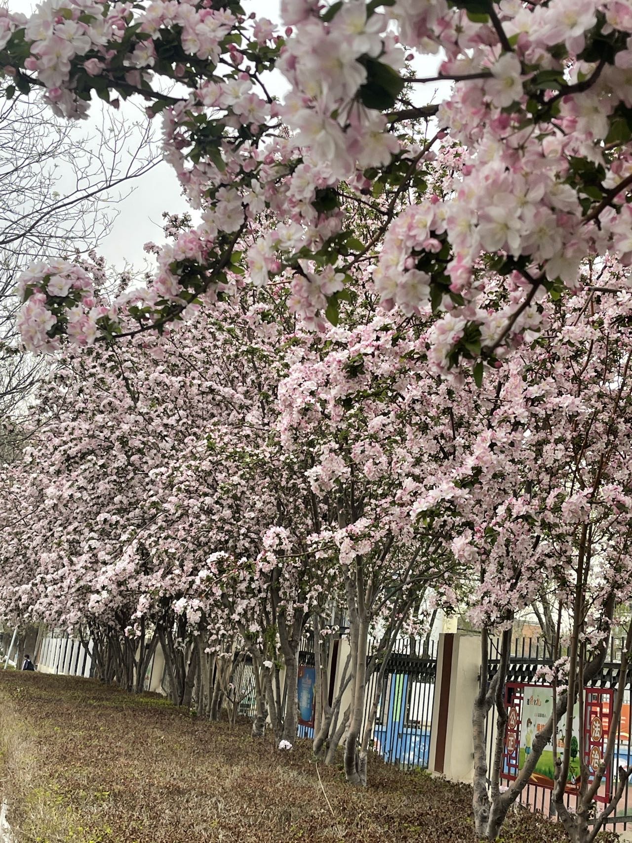 找旅游搭子