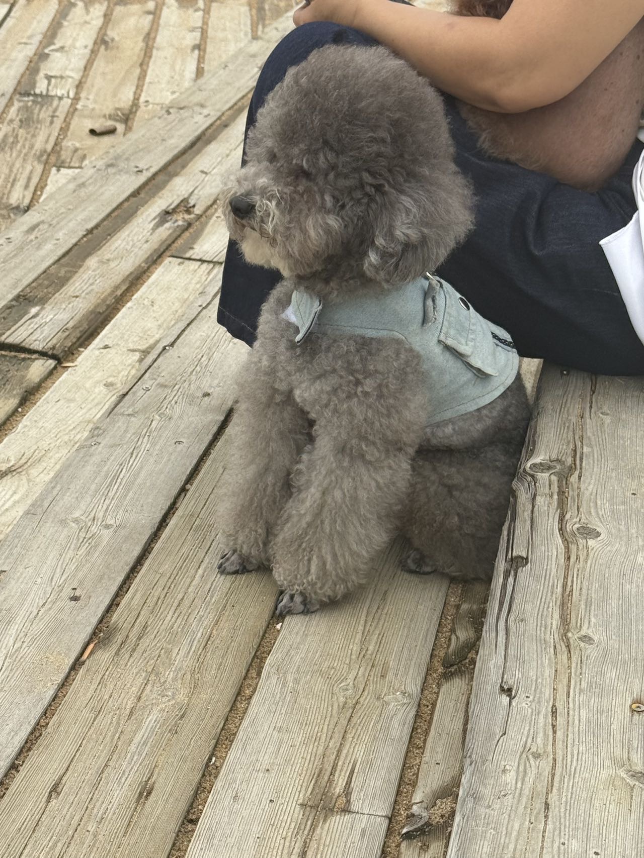 找看电影搭子