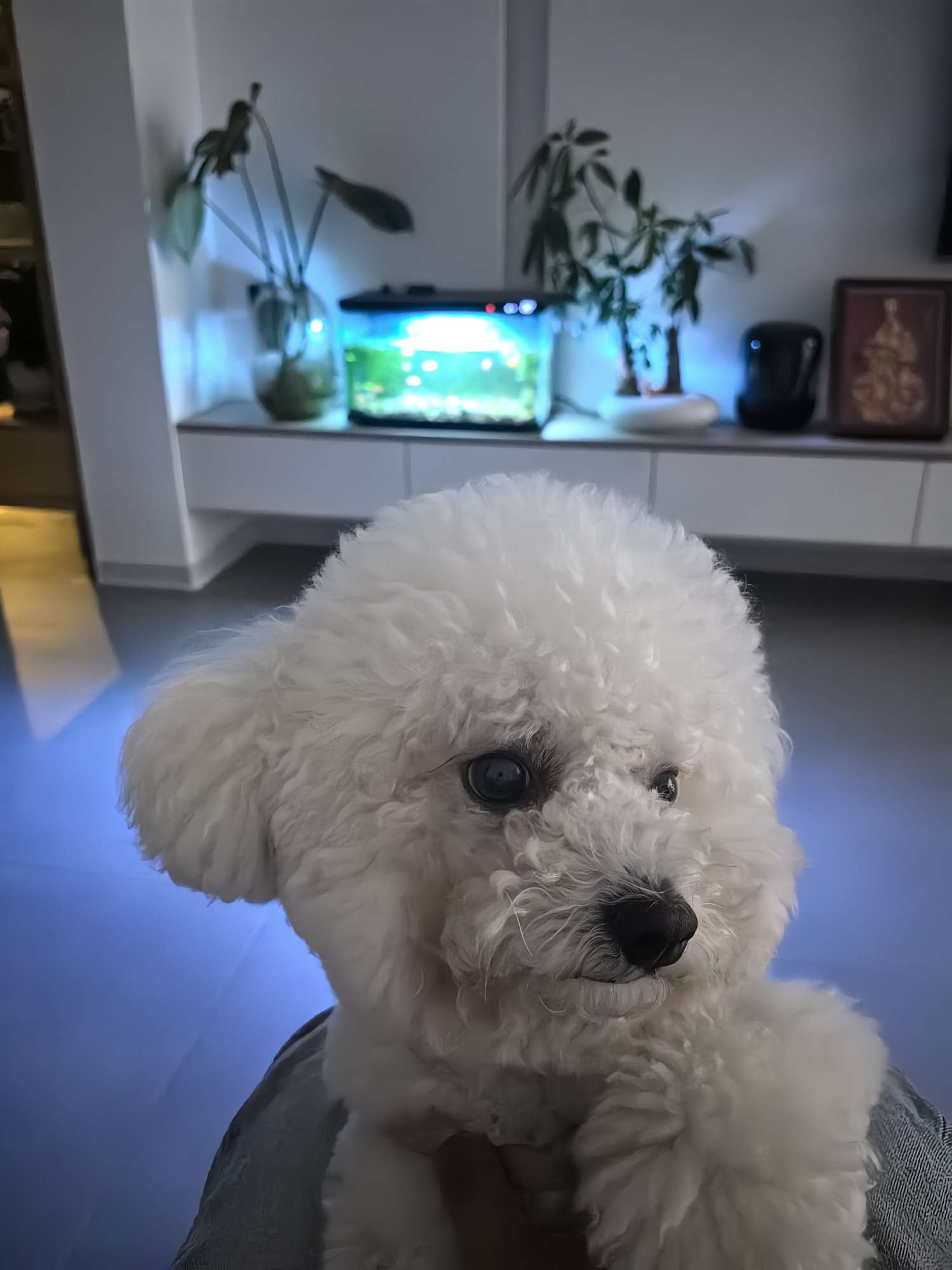 找篮球喝酒搭子
