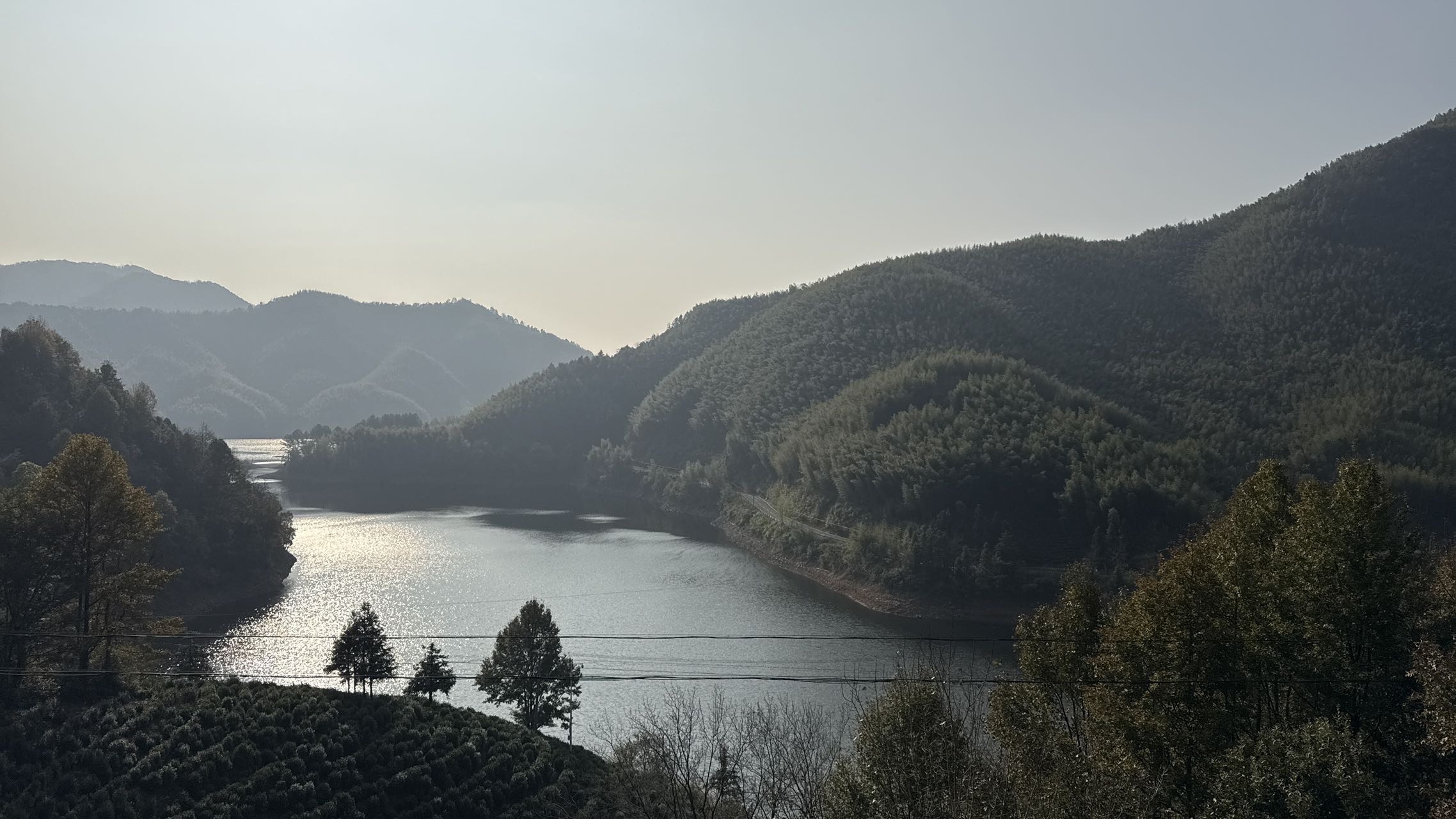 找旅游搭子