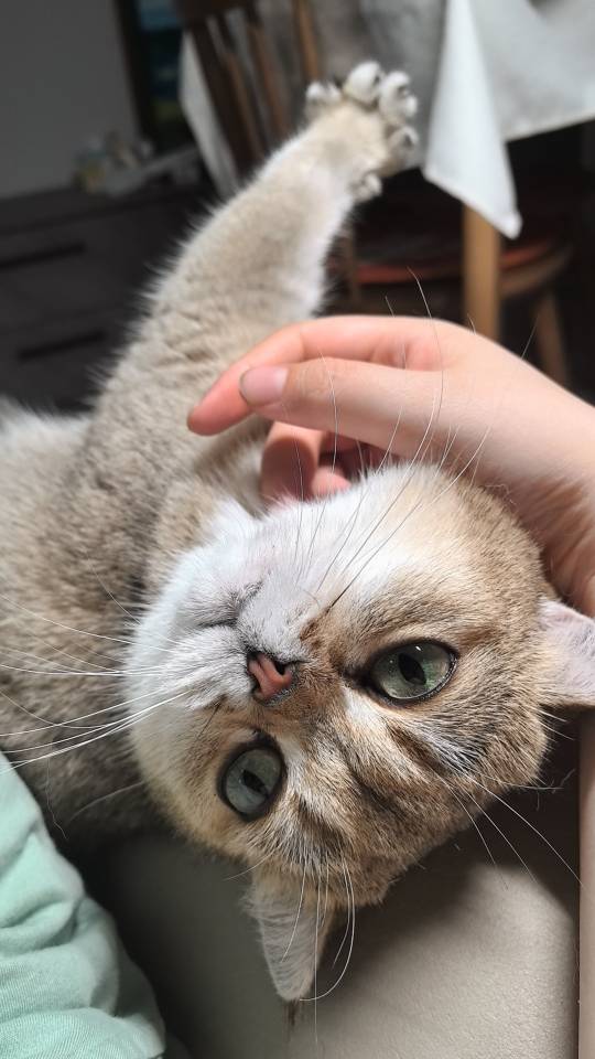 找逛街搭子