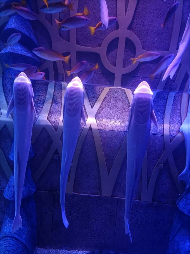 找探店搭子
