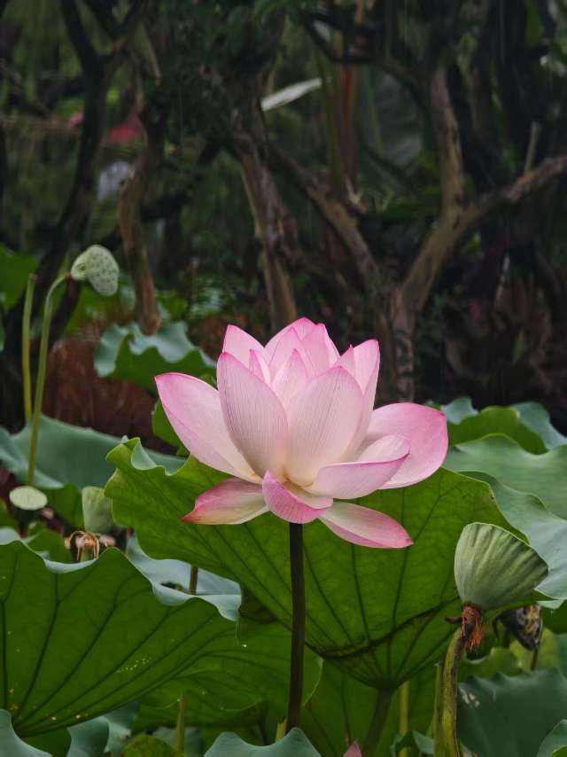 找旅游女搭子