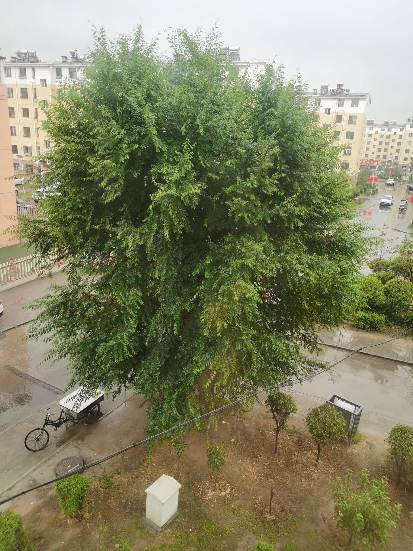 找周边自驾游搭子