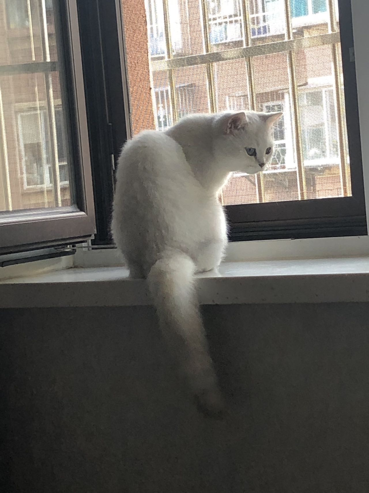 找运动搭子