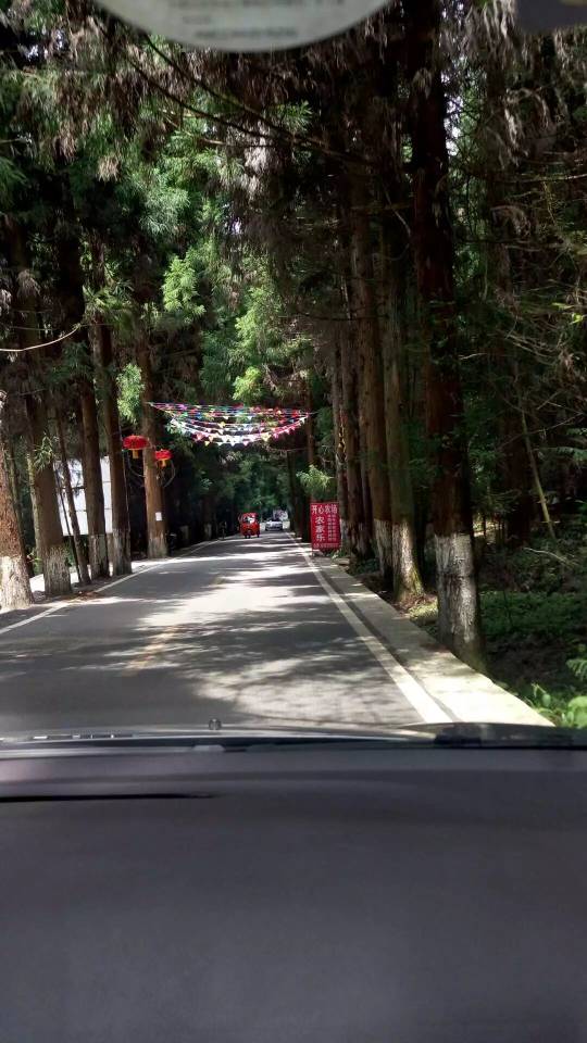 找聊天搭子