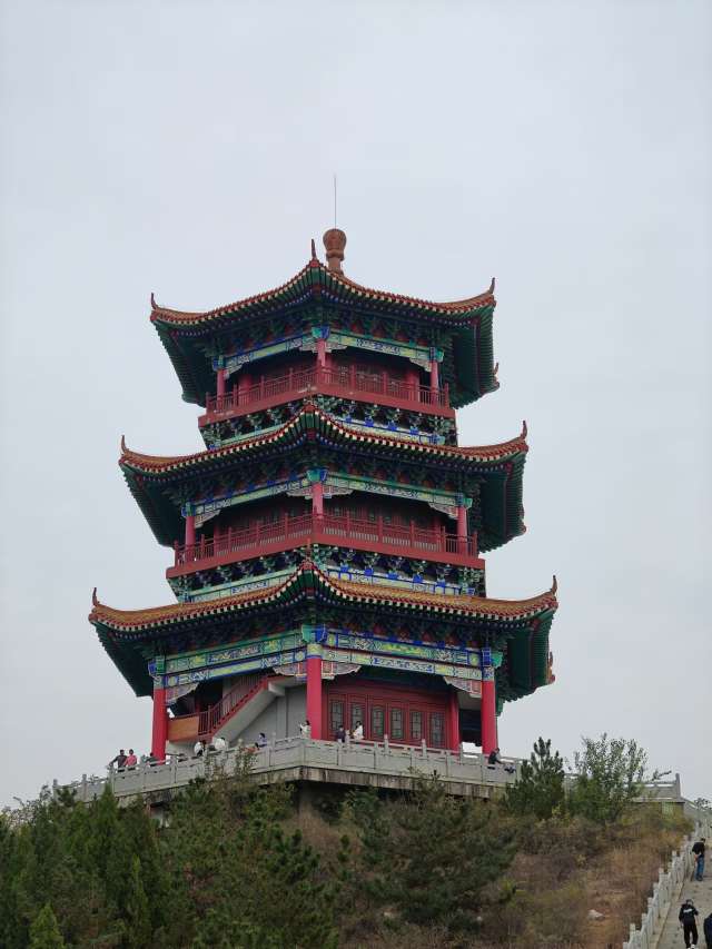 找学习搭子
