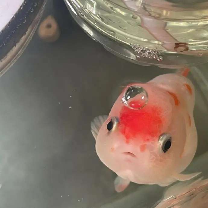 找运动搭子