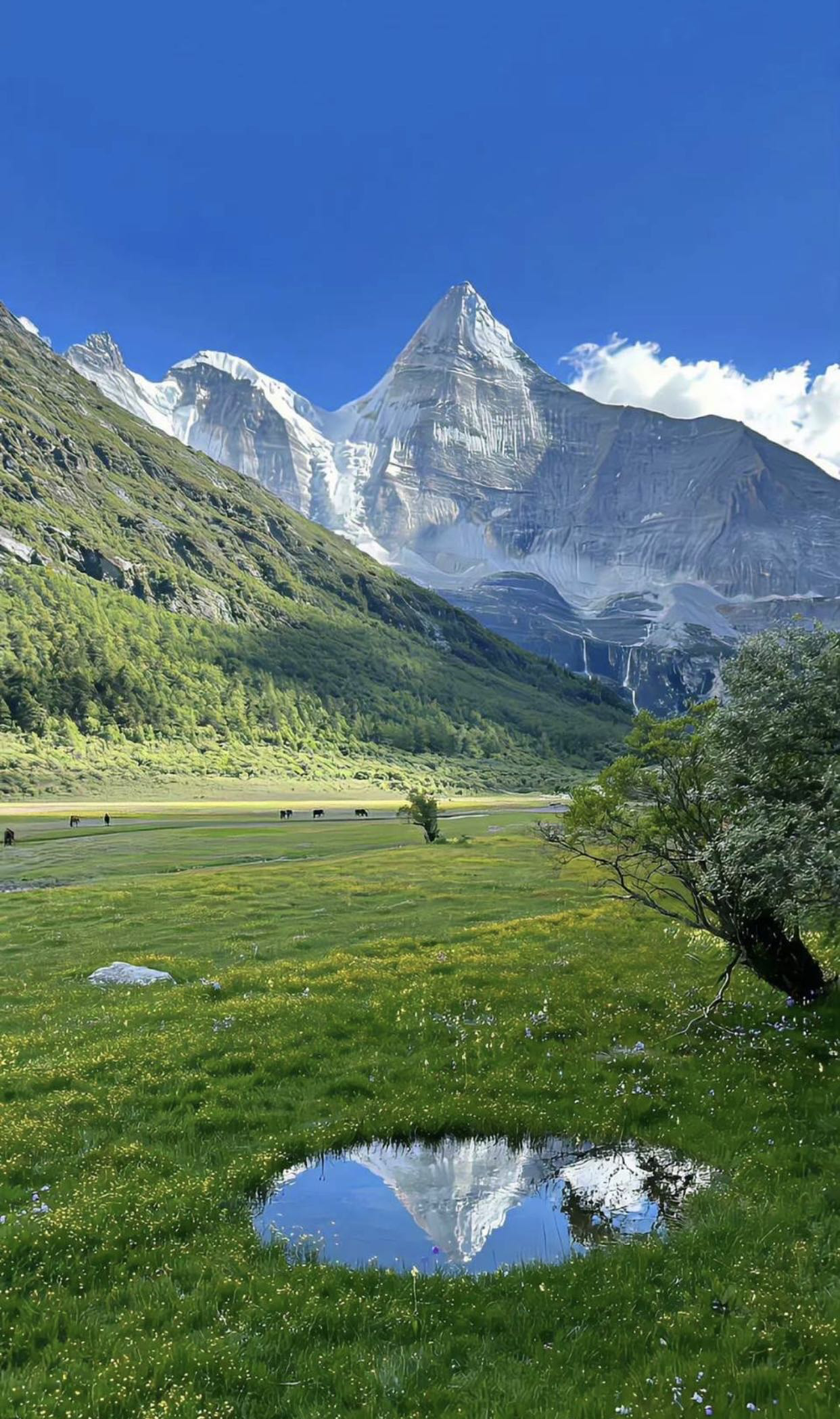 找旅行搭子