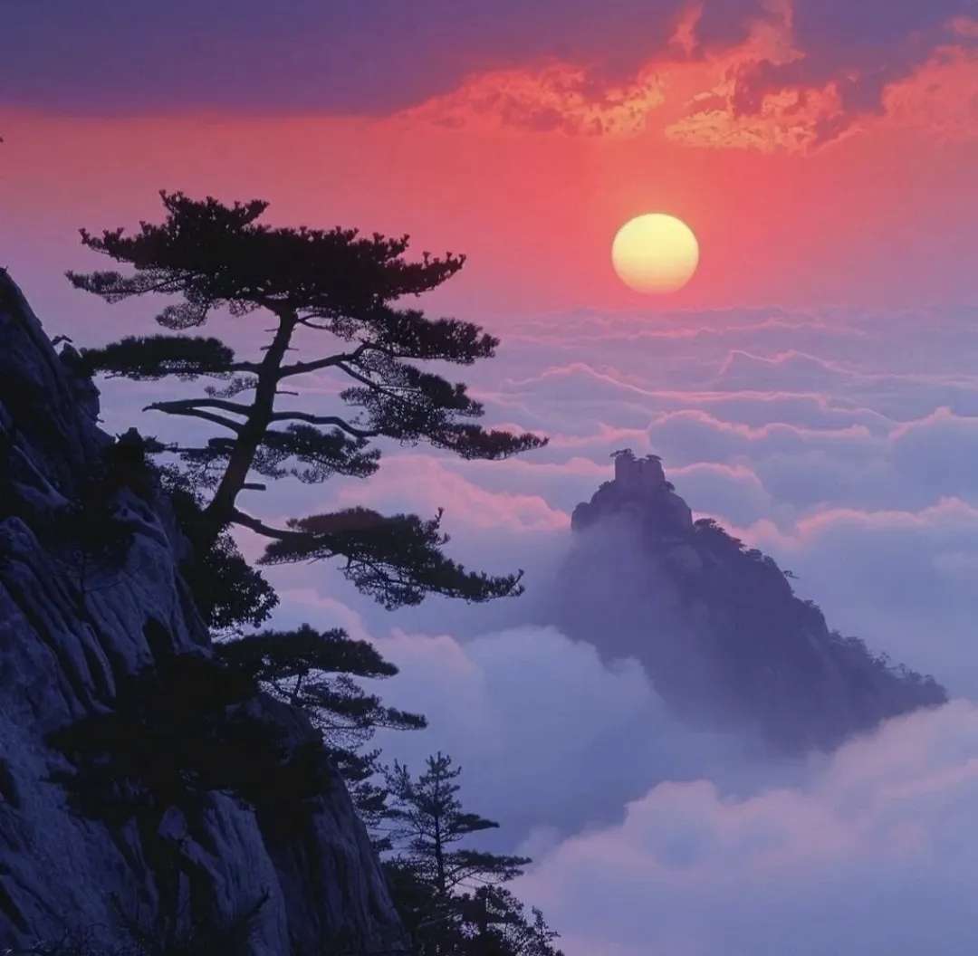 找旅游搭子