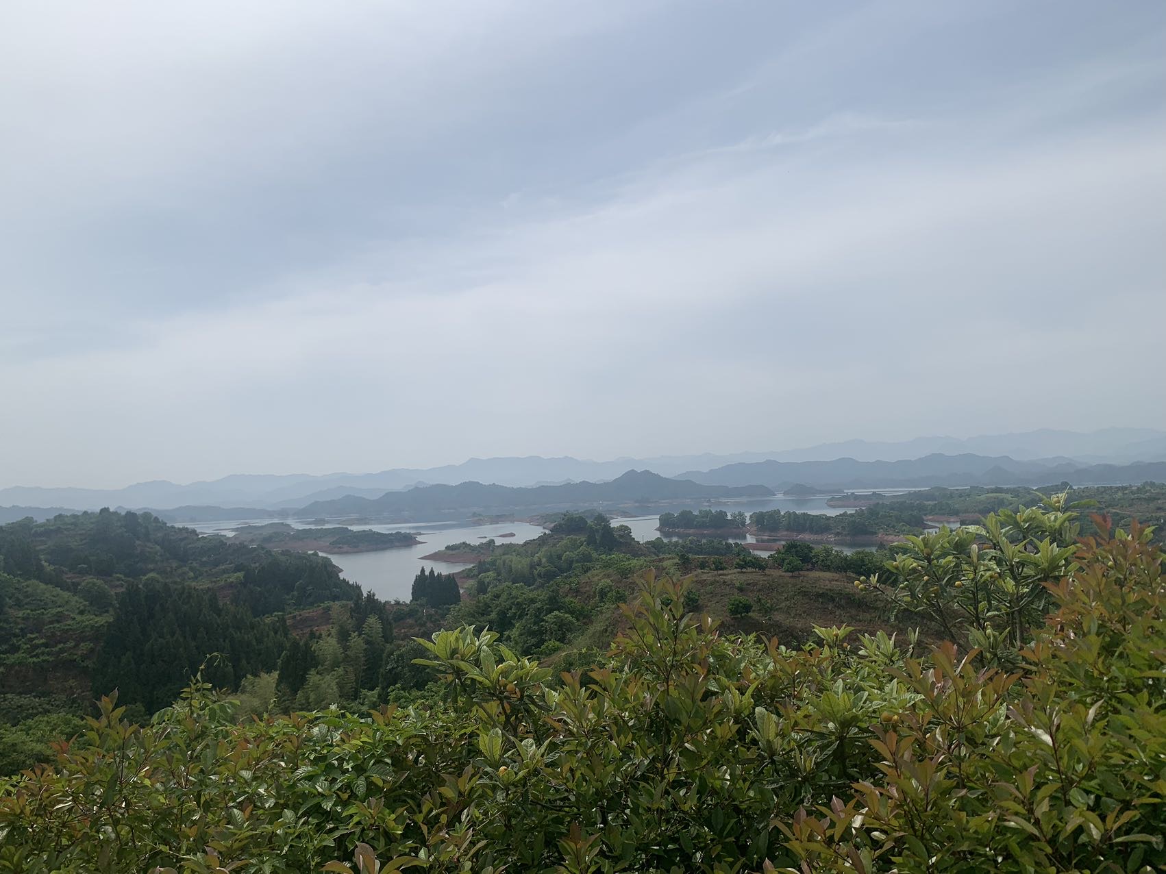 找旅游搭子