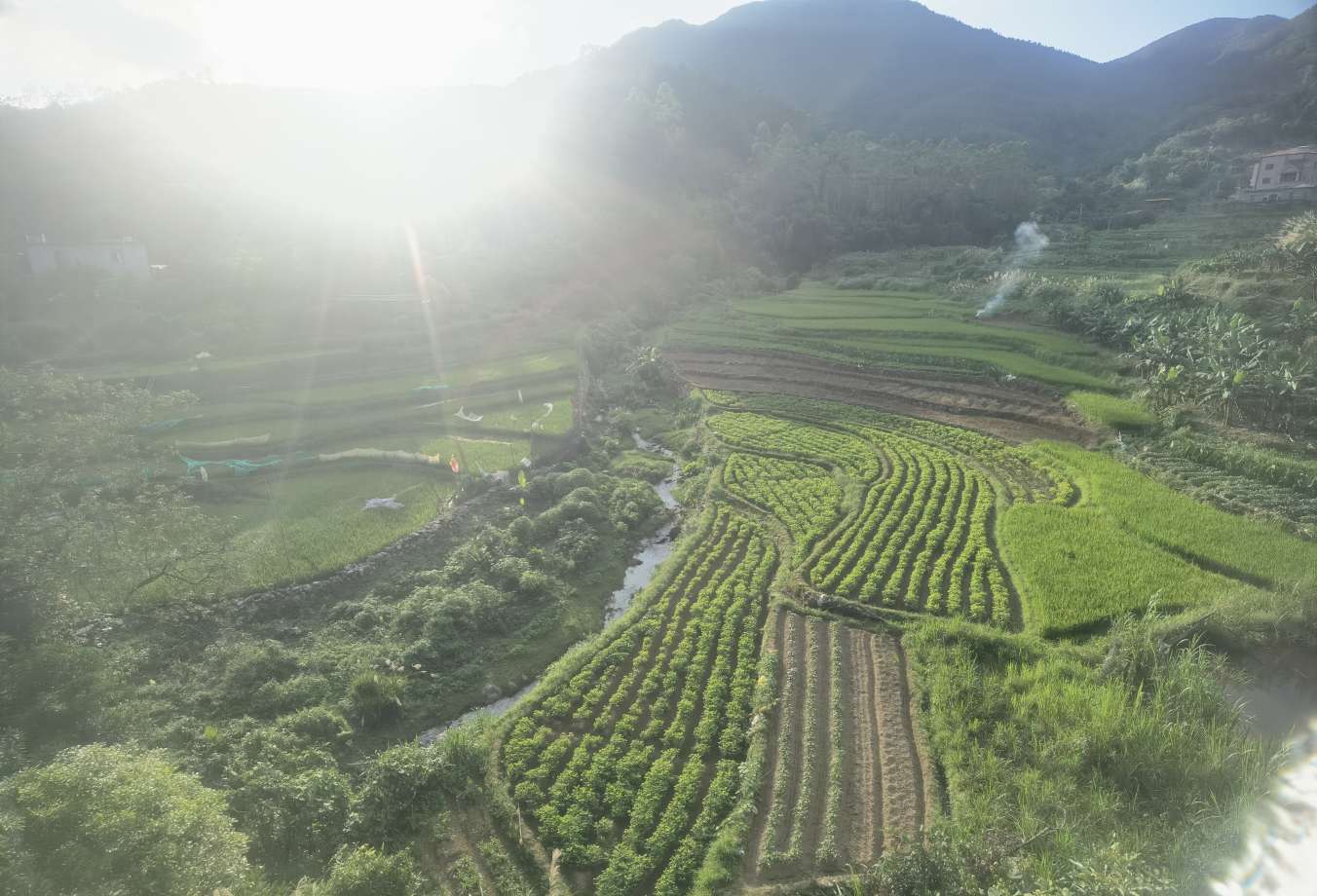找旅游搭子