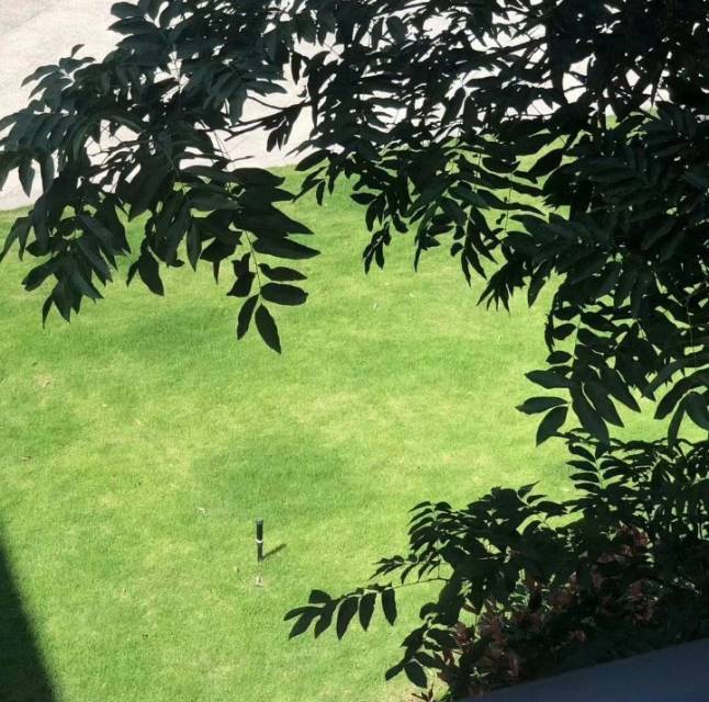 找旅游搭子