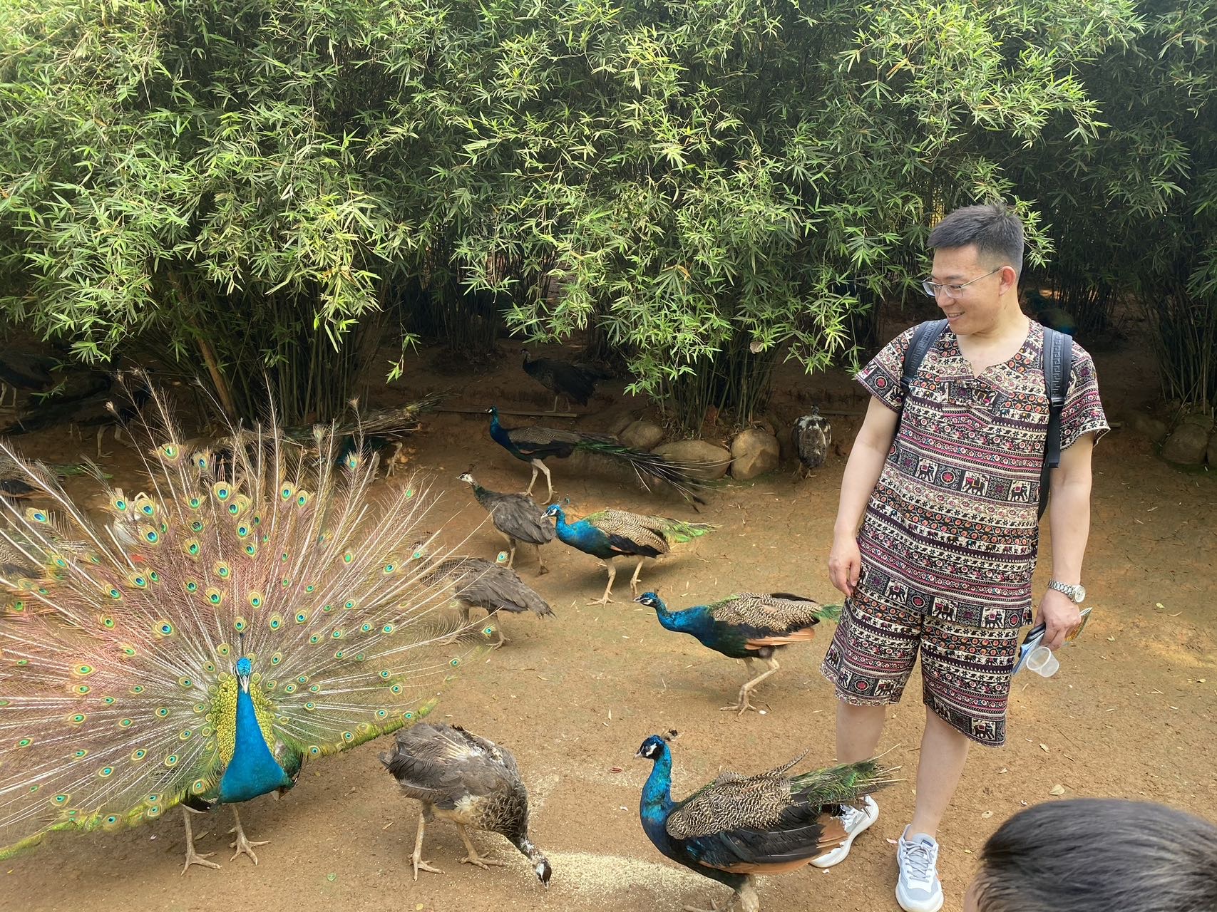 找打游戏逛街搭子