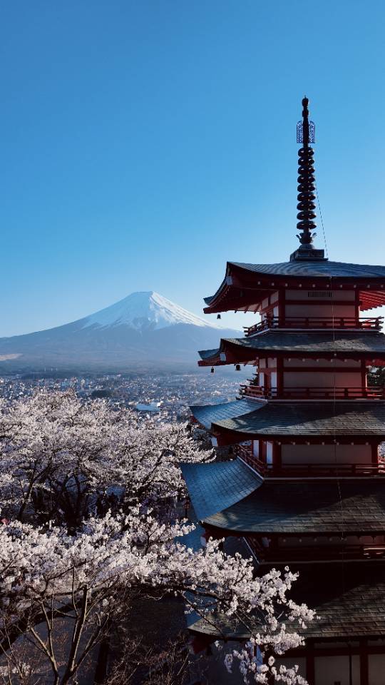 找旅游搭子