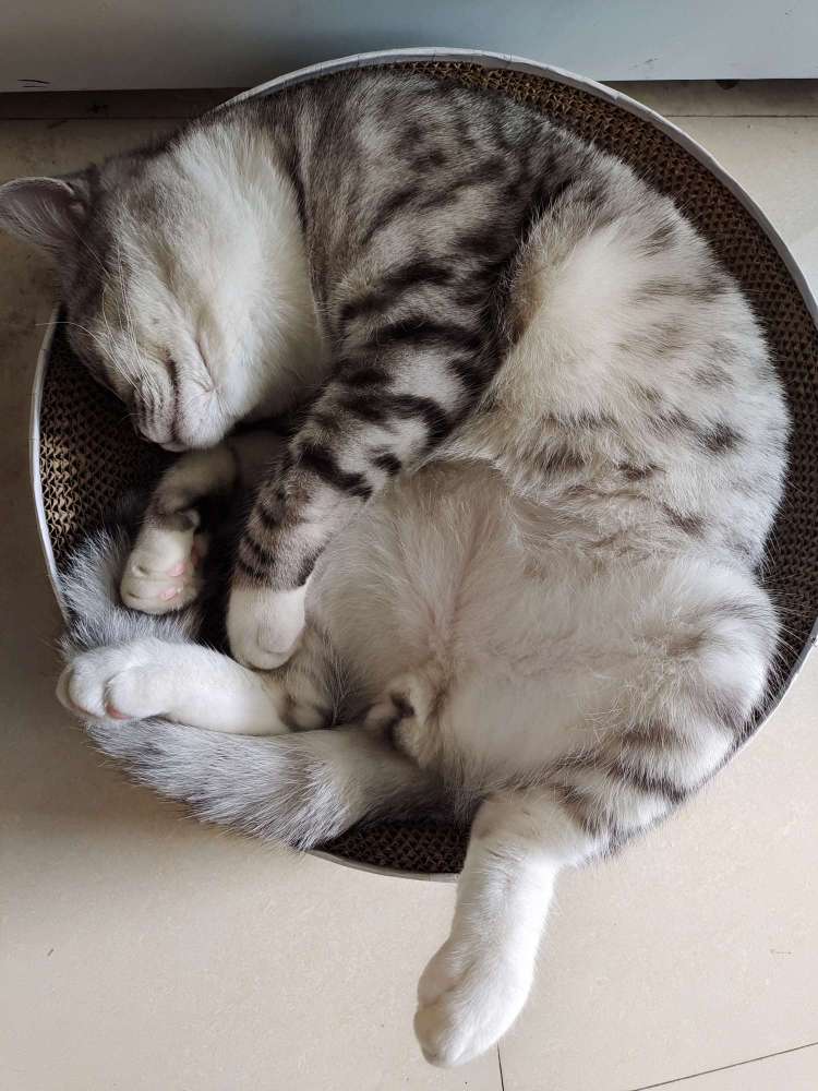 找运动搭子