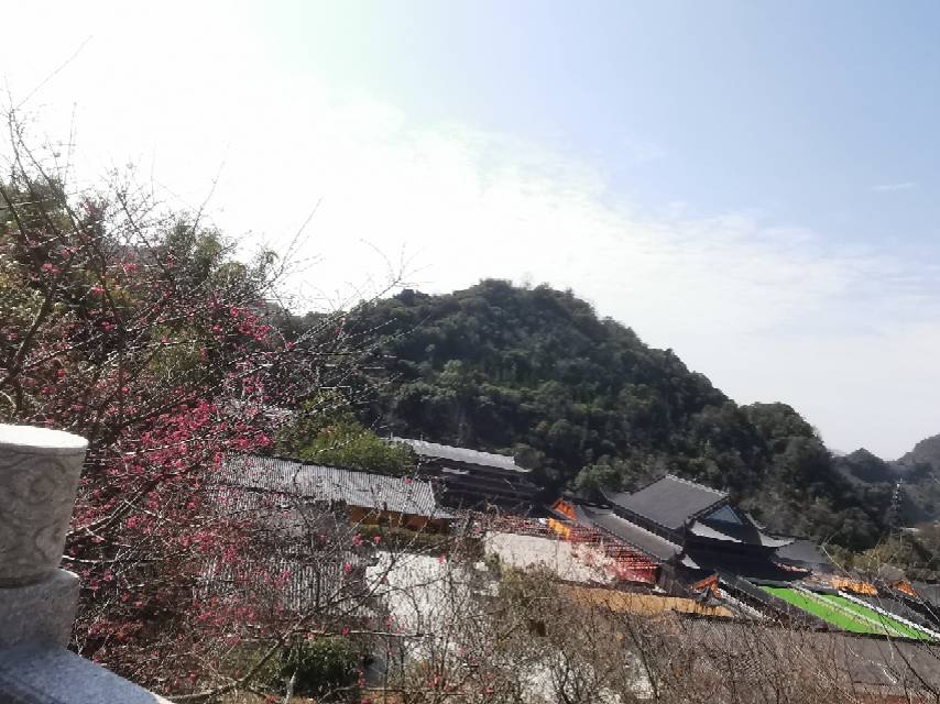 找运动搭子