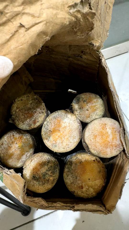 找跑步搭子