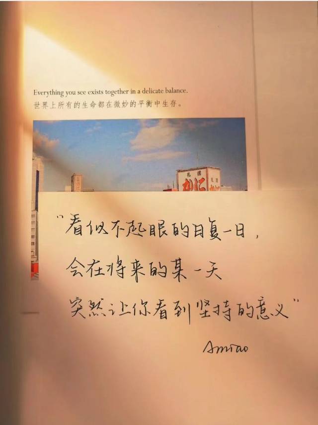 找学习搭子