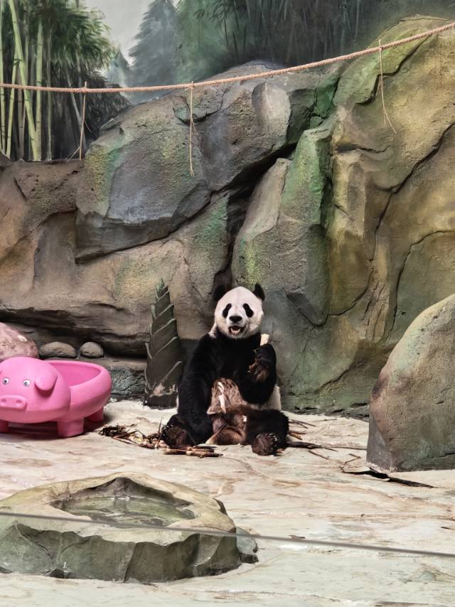 找台球搭子