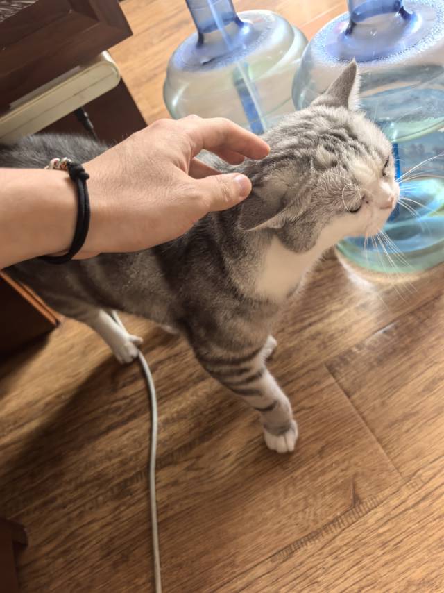 找逛玩搭子