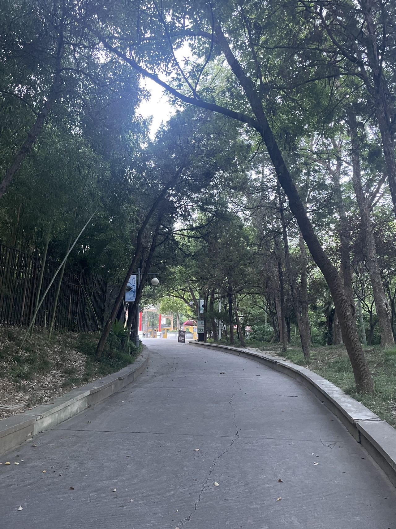 找聊天搭子