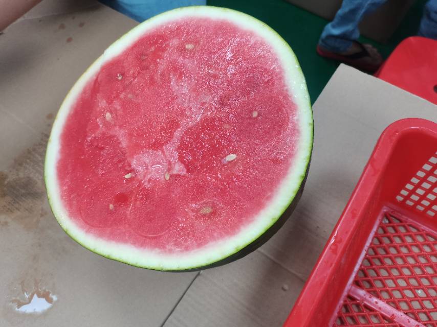 找羽毛球搭子