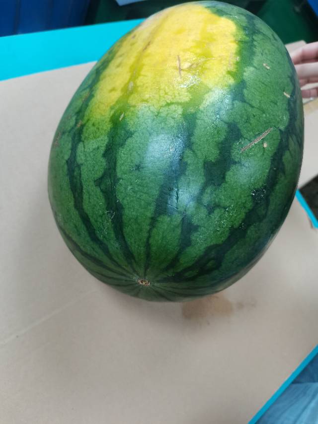 找羽毛球搭子