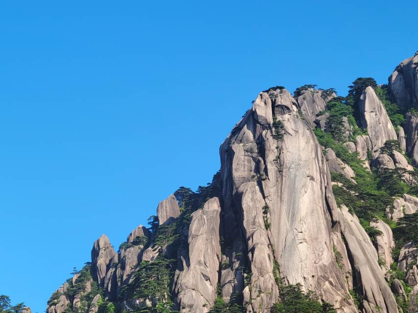 找旅行搭子