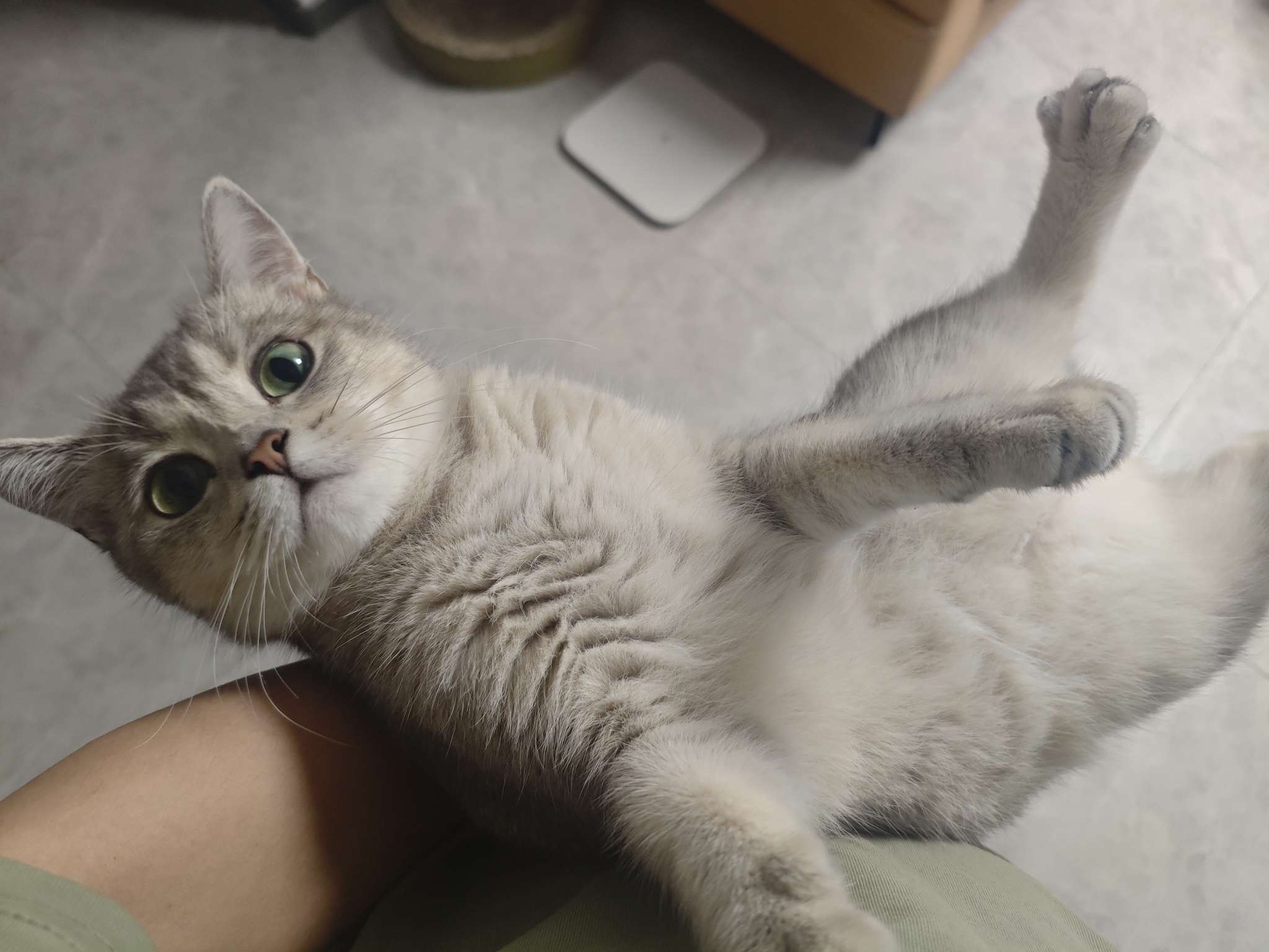 找运动搭子