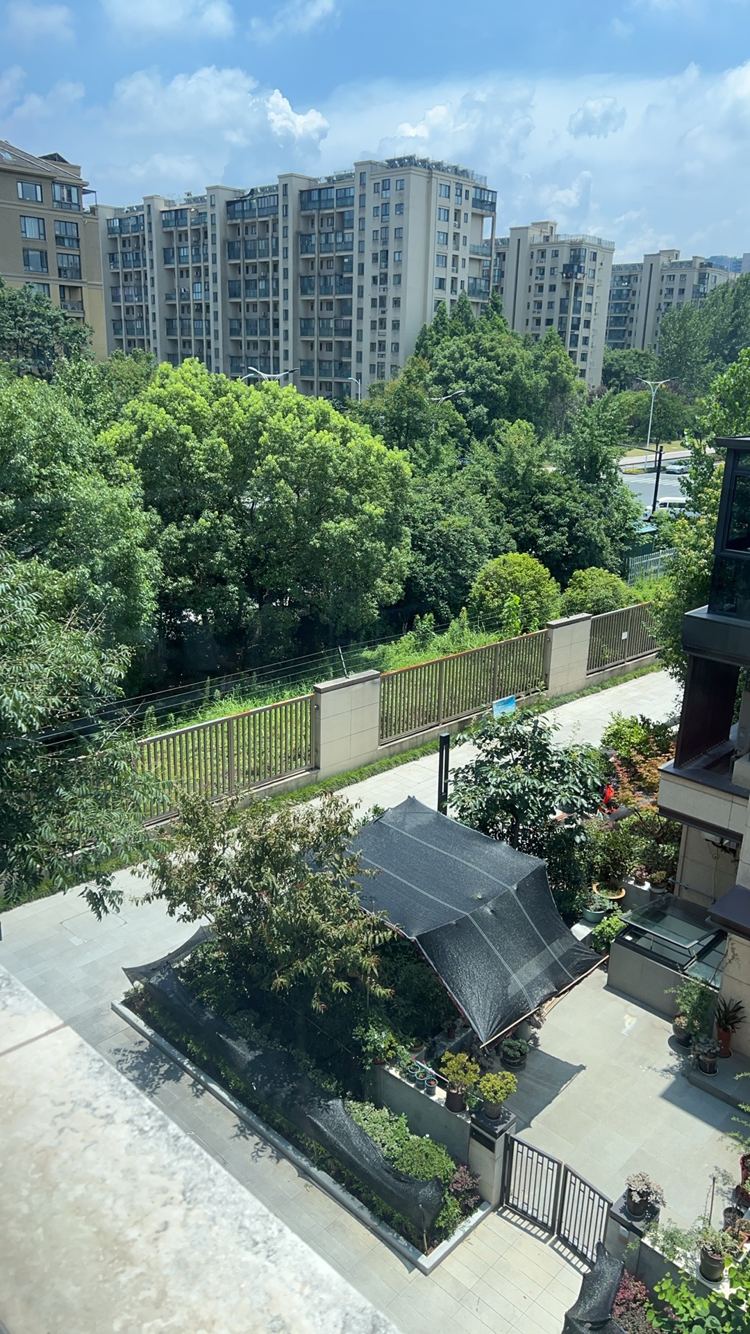 找运动搭子
