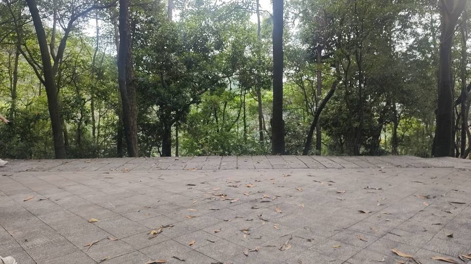 找运动搭子