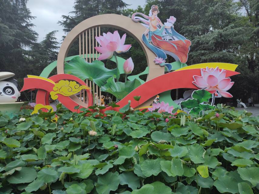 找吃饭搭子