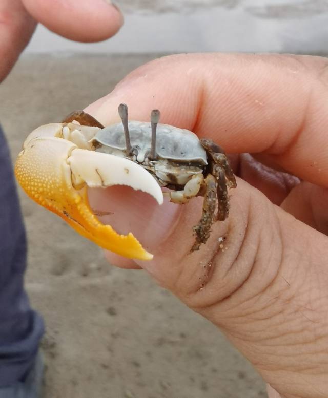 找休闲聊天搭子