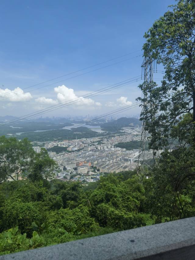 找交友搭子