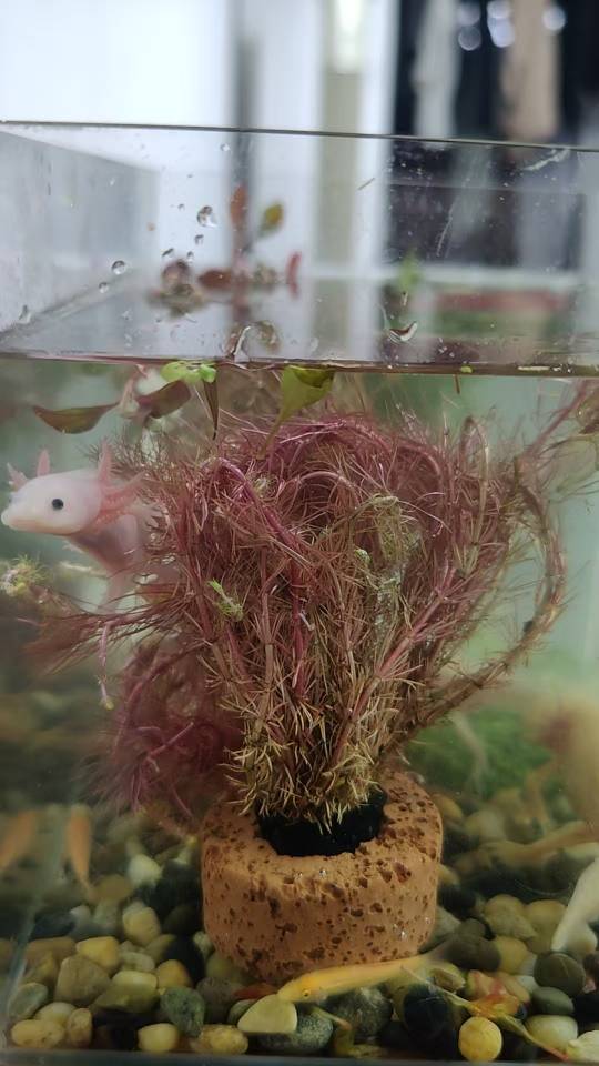 找看电影搭子